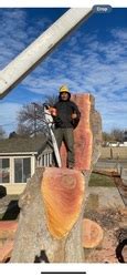 Money Tree in Pasco, WA with Reviews .